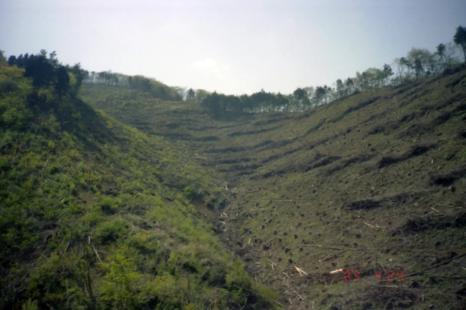 白石峠からの下りの途中