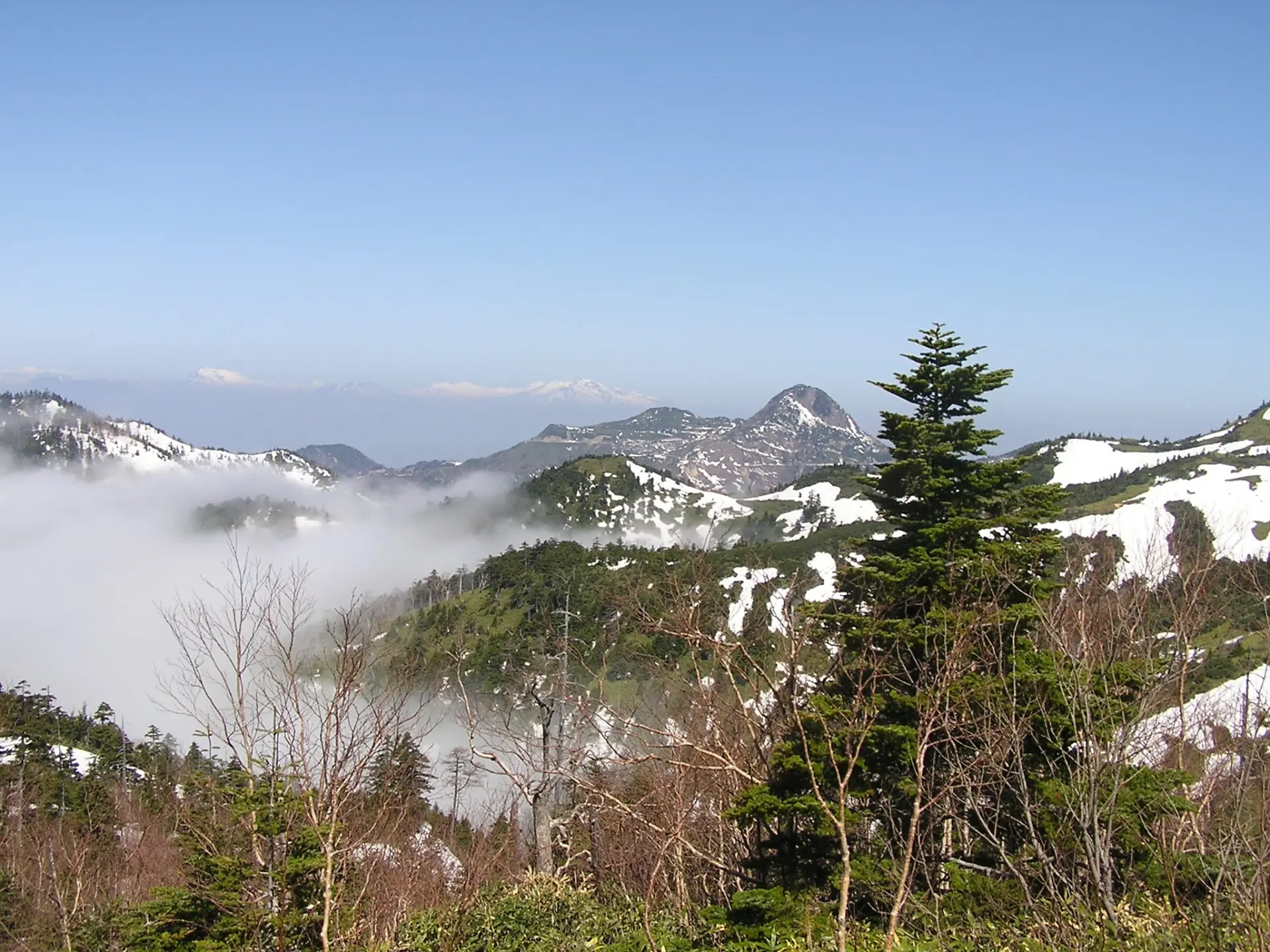 志賀高原の雲海