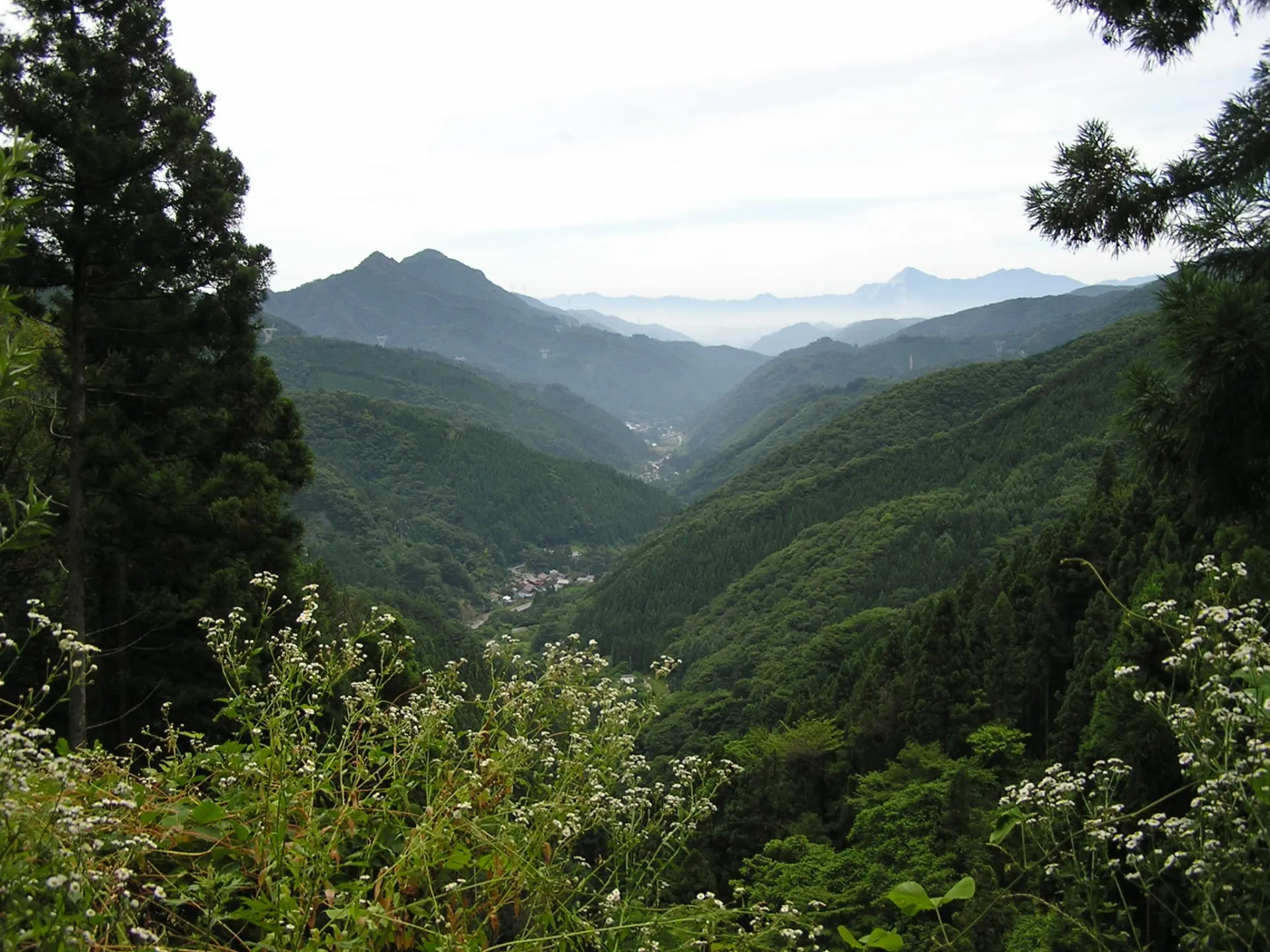 志賀坂峠埼玉県側遠景