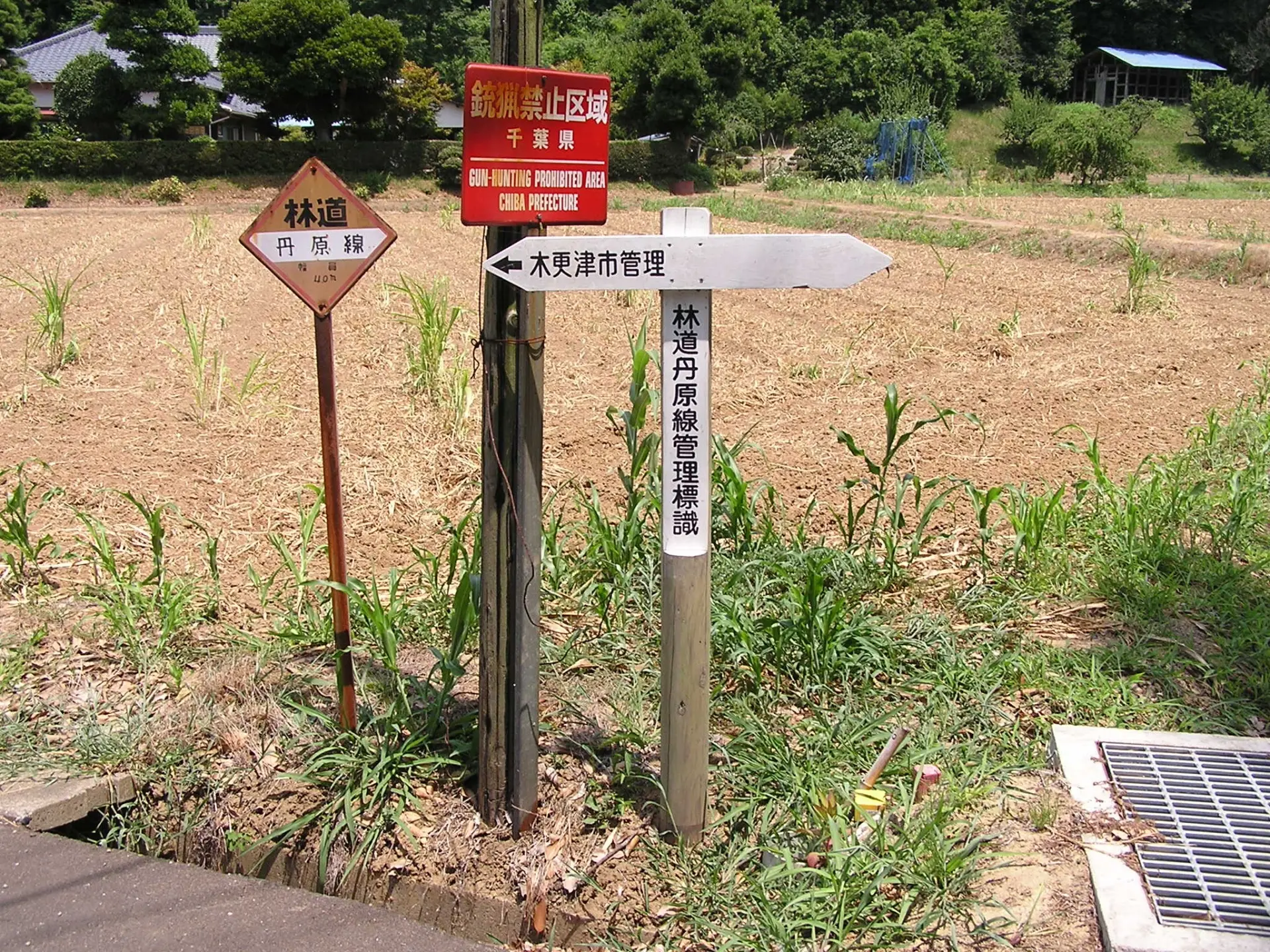 千葉県木更津市丹原林道