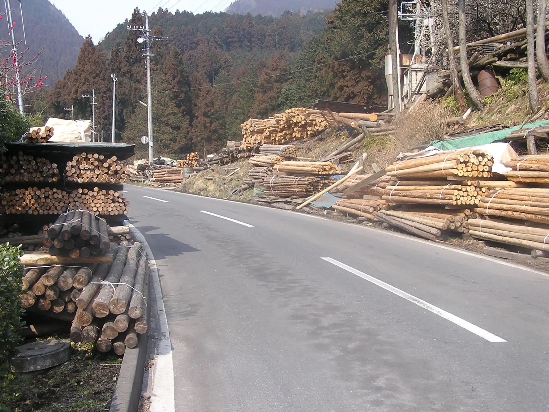 山伏峠の途中の材木