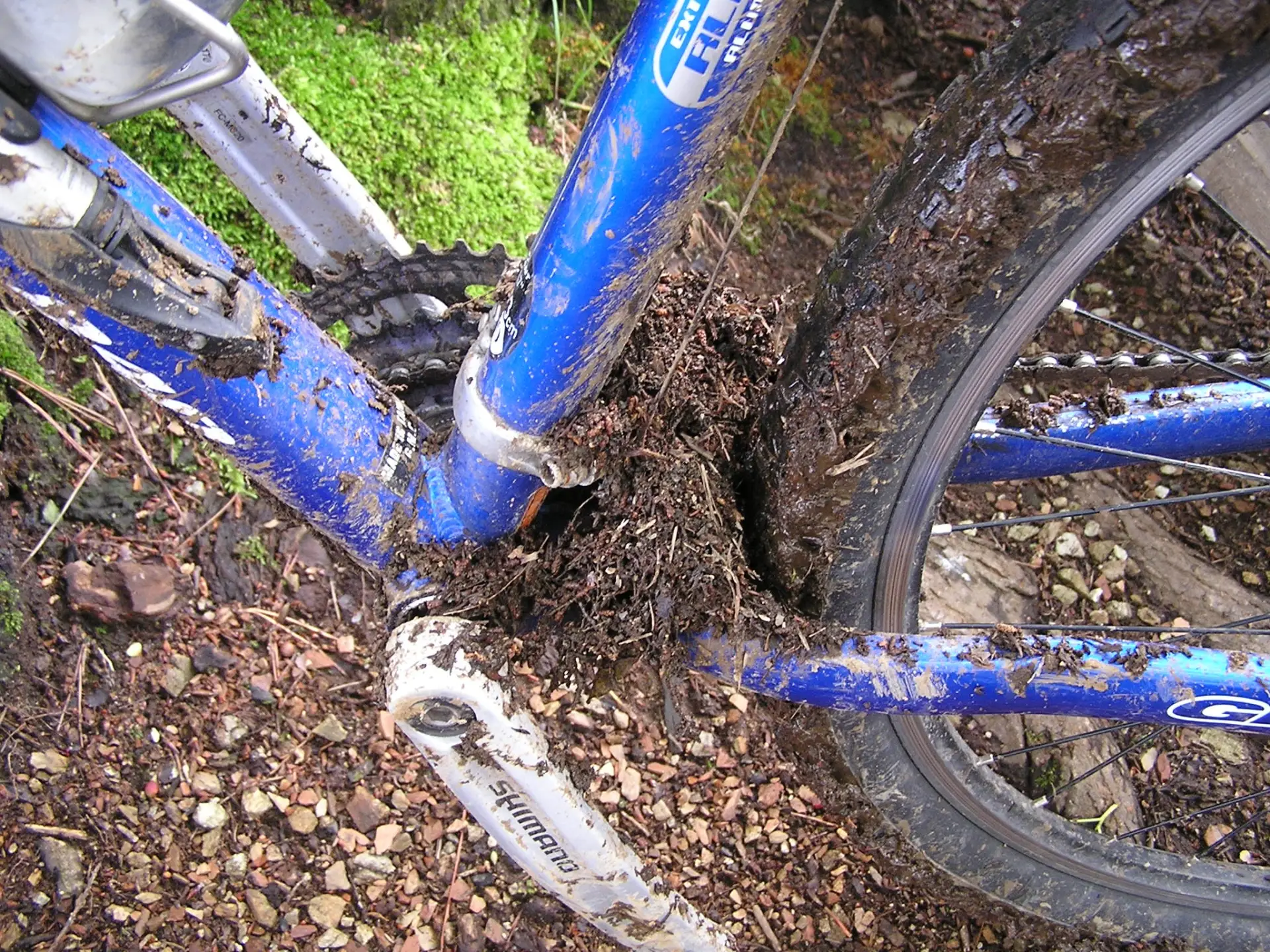 泥が詰まっている