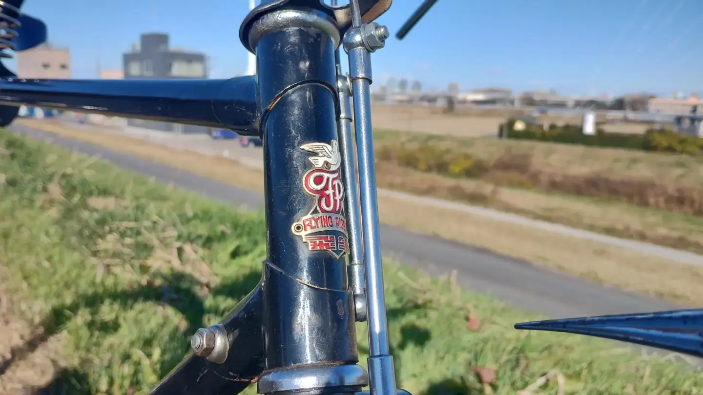 天津飞鸽PA-22 ヘッドマーク 2025年11月撮影